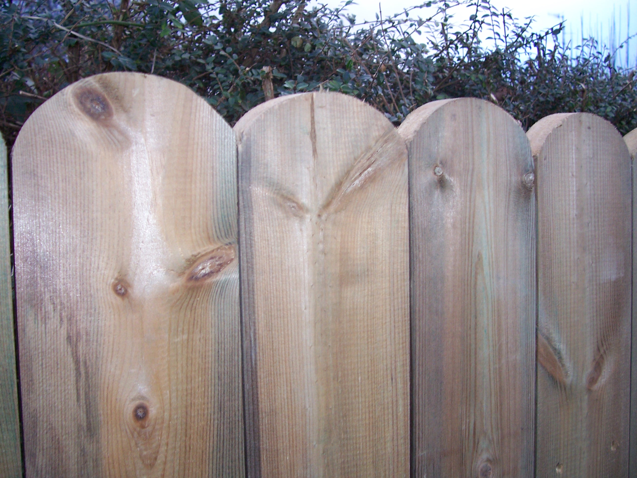 Round Top Planed Cottage Fencing