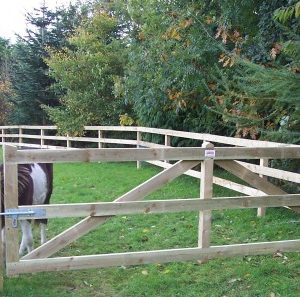 Field gates made of wood with a cow