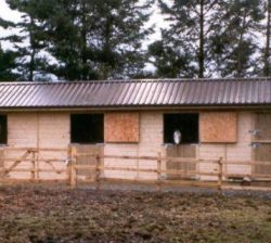 Horse Stables